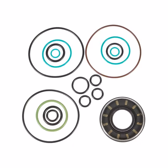 モーターオイル高圧油圧ポンプピストンギアポンプベーンプランジャー油圧ポンプ部品スペア修理キットボッシュレックスロスザウアーダンフォス掘削機